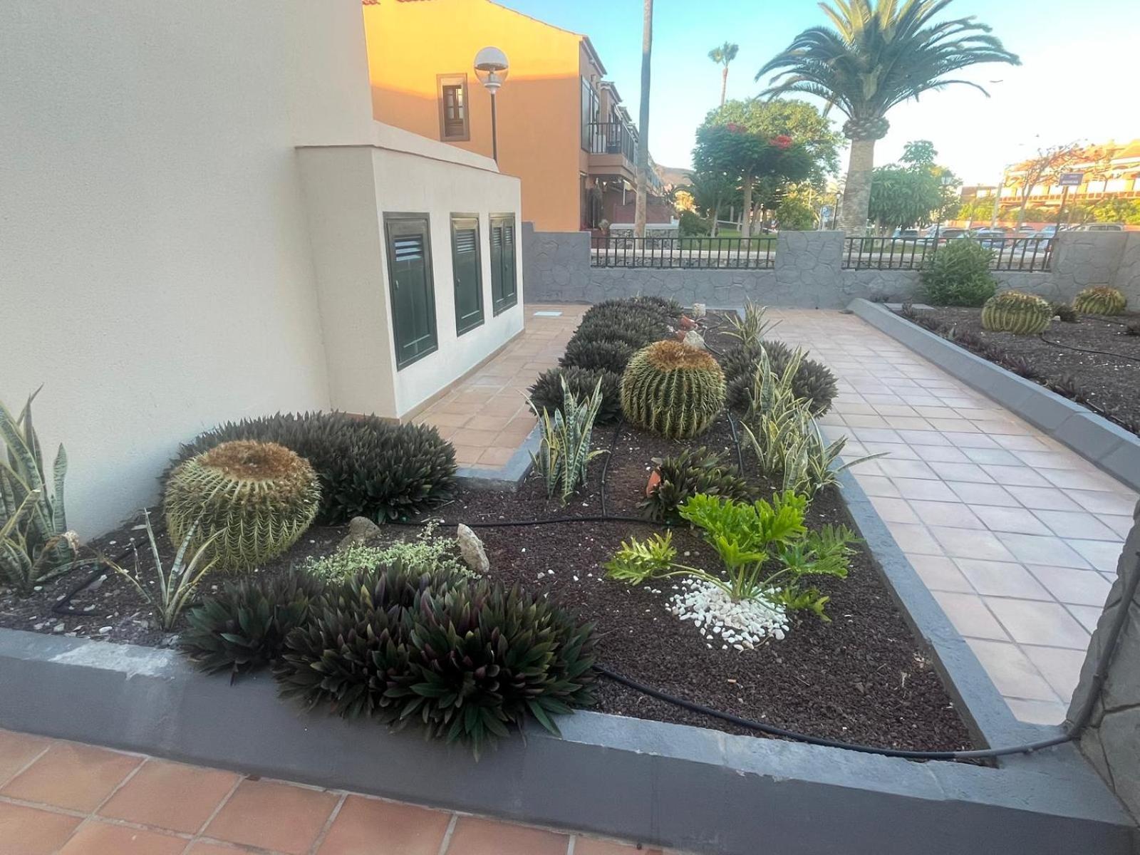 Appartamento Casa Montana Amarilla 60 Costa Del Silencio Esterno foto